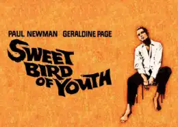 Vintage-style promotional poster for the film 'Sweet Bird of Youth' featuring Paul Newman and Geraldine Page, with bold black text on an orange textured background and an illustration of a seated figure.