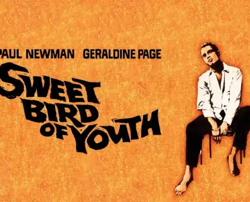 Vintage-style promotional poster for the film 'Sweet Bird of Youth' featuring Paul Newman and Geraldine Page, with bold black text on an orange textured background and an illustration of a seated figure.
