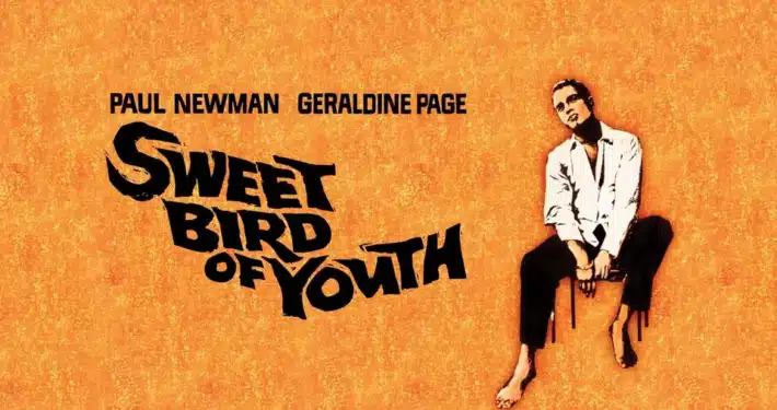 Vintage-style promotional poster for the film 'Sweet Bird of Youth' featuring Paul Newman and Geraldine Page, with bold black text on an orange textured background and an illustration of a seated figure.