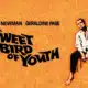 Vintage-style promotional poster for the film 'Sweet Bird of Youth' featuring Paul Newman and Geraldine Page, with bold black text on an orange textured background and an illustration of a seated figure.