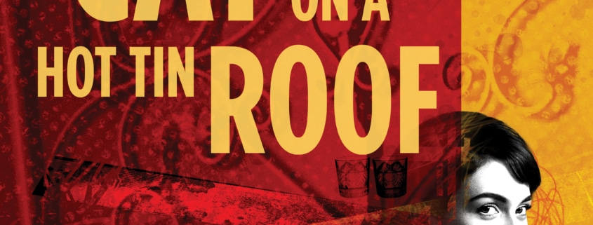 A predominantly red background overlaid with faint images depicting the famous elaborate ironwork of Southern architecture. Over the background is the back of a woman in black and white who is glancing over her shoulder with a small smile. The words "Cat on a Hot Tin Roof" appear in light orange.