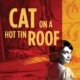 Show logo for Cat on a Hot Tin Roog in tan type on top of an ornate maroon background.