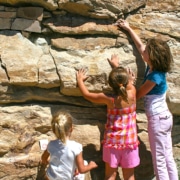 Three children exploring a textured rock wall with visible geological layers during an outdoor educational activity