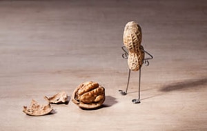 eanut with wire arms and legs standing and looking at a cracked walnut on a wooden surface.