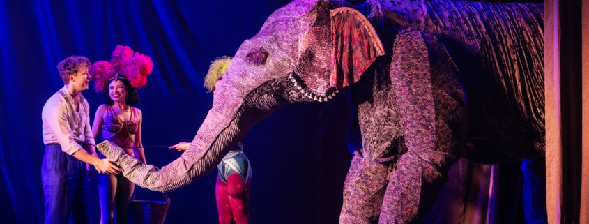 Stage performers interact with a large, elaborate elephant puppet under dramatic theatrical lighting, with colorful costumes and set pieces enhancing the circus-like atmosphere.