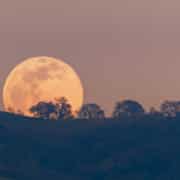 Full moon rising from behind a hill in the Diablo Mountain Range, in South San Francisco Bay Area, San Jose, California