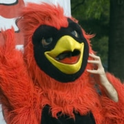 Body puppet depicting bright red cardinal mascot with yellow beak