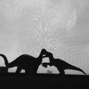 Black and white shadow puppets depicting 2 dinosaurs fighting