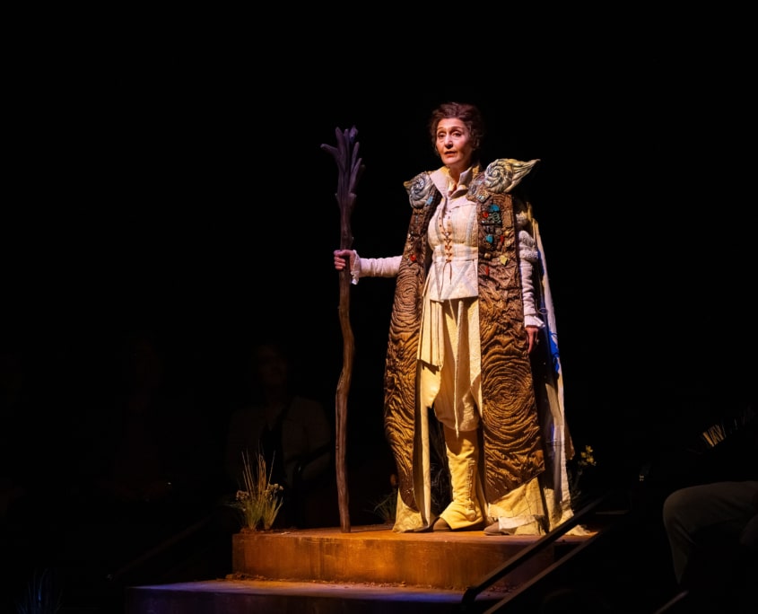 A performer wearing a long, textured robe stands on a raised platform holding a wooden staff under a spotlight against a dark stage backdrop.