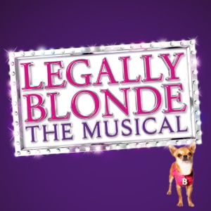 A graphic Legally with a marquee-style title sign on a purple background that reads Blonde The Musical in pink and purple text and a small Chihuahua wearing a pink outfit with a letter ‘B.’