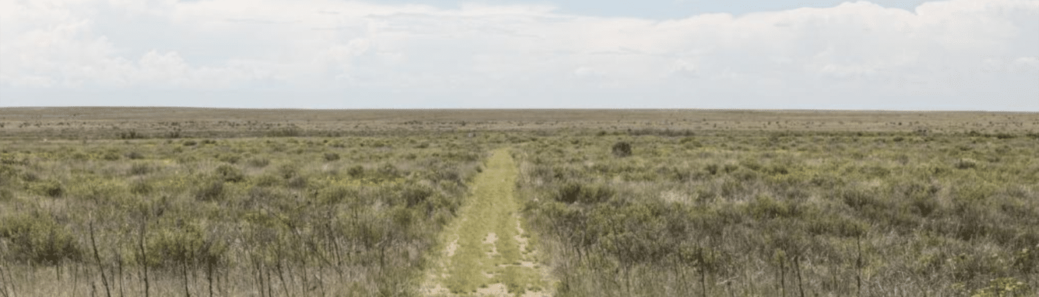 A narrow dirt and grass trail runs straight through open prairie grassland with low shrubs, stretching toward a flat horizon under a pale blue, lightly clouded sky.