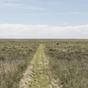 A narrow dirt and grass trail runs straight through open prairie grassland with low shrubs, stretching toward a flat horizon under a pale blue, lightly clouded sky.