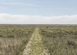 A narrow dirt and grass trail runs straight through open prairie grassland with low shrubs, stretching toward a flat horizon under a pale blue, lightly clouded sky.
