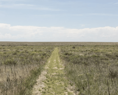 A narrow dirt and grass trail runs straight through open prairie grassland with low shrubs, stretching toward a flat horizon under a pale blue, lightly clouded sky.