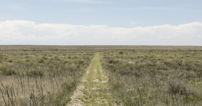 A narrow dirt and grass trail runs straight through open prairie grassland with low shrubs, stretching toward a flat horizon under a pale blue, lightly clouded sky.