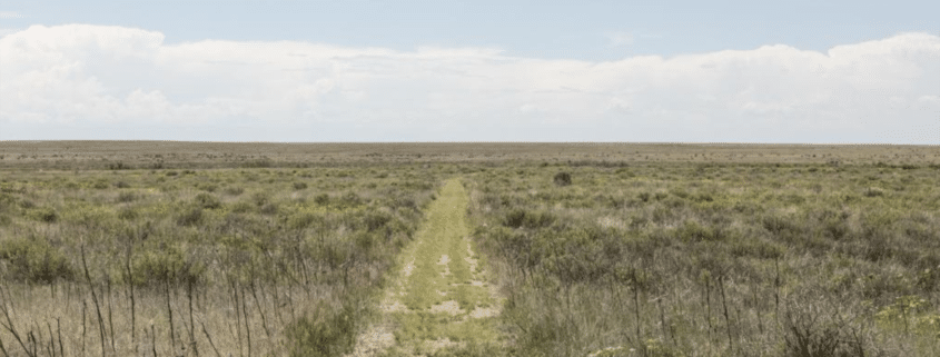 A narrow dirt and grass trail runs straight through open prairie grassland with low shrubs, stretching toward a flat horizon under a pale blue, lightly clouded sky.