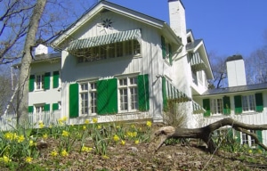 Large white country-style house with green shutters and striped awnings, surrounded by blooming yellow flowers and leafless trees under a clear blue sky.