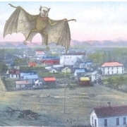 Vintage postcard-style illustration showing a winged bat-like creature with a human face flying over a small town. The image includes the caption “The Vampire of Lafayette” along the bottom.