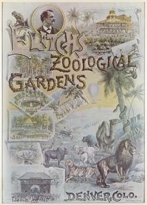 Vintage illustrated poster advertising Elitch’s Zoological Gardens in Denver, Colorado, featuring drawings of animals including a lion, tiger, elephant, and camel, along with scenes of gardens, attractions, buildings, and the park entrance.