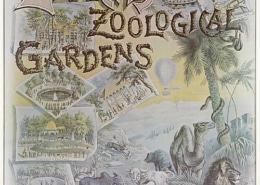 Vintage illustrated poster advertising Elitch’s Zoological Gardens in Denver, Colorado, featuring drawings of animals including a lion, tiger, elephant, and camel, along with scenes of gardens, attractions, buildings, and the park entrance.