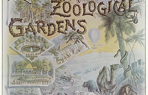 Vintage illustrated poster advertising Elitch’s Zoological Gardens in Denver, Colorado, featuring drawings of animals including a lion, tiger, elephant, and camel, along with scenes of gardens, attractions, buildings, and the park entrance.
