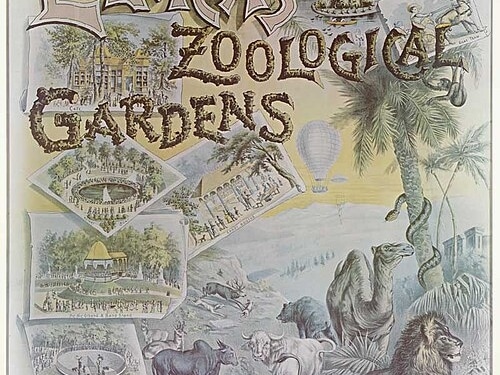 Vintage illustrated poster advertising Elitch’s Zoological Gardens in Denver, Colorado, featuring drawings of animals including a lion, tiger, elephant, and camel, along with scenes of gardens, attractions, buildings, and the park entrance.